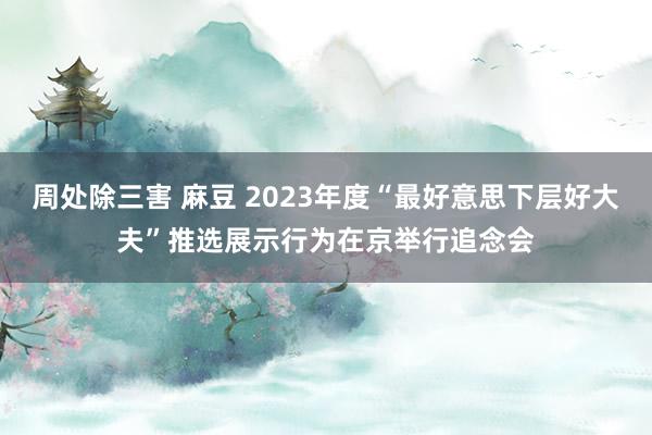 周处除三害 麻豆 2023年度“最好意思下层好大夫”推选展示行为在京举行追念会