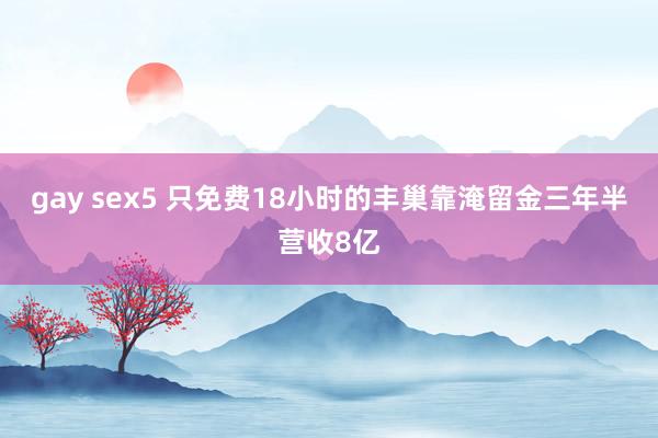 gay sex5 只免费18小时的丰巢靠淹留金三年半营收8亿