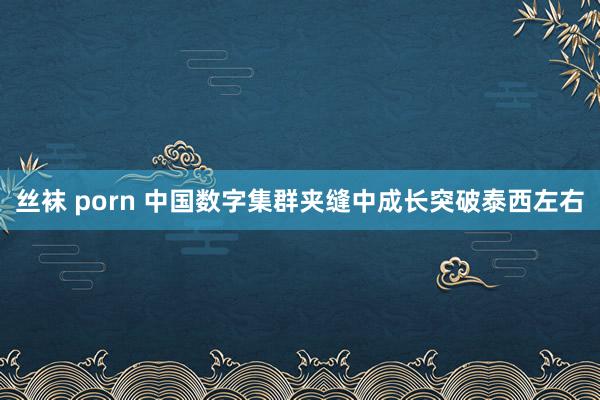 丝袜 porn 中国数字集群夹缝中成长突破泰西左右